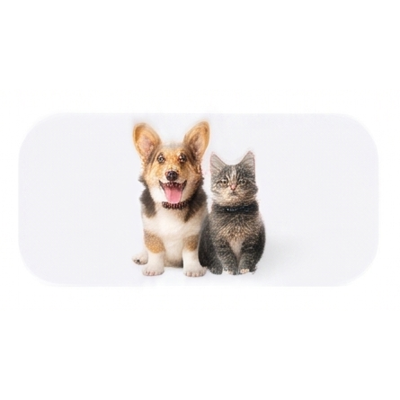 Mascotas