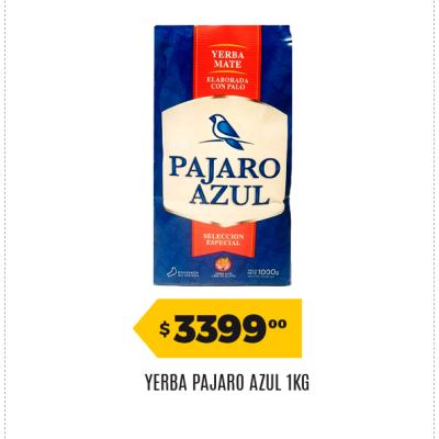 Afiche 01 Pajaro 06092026
